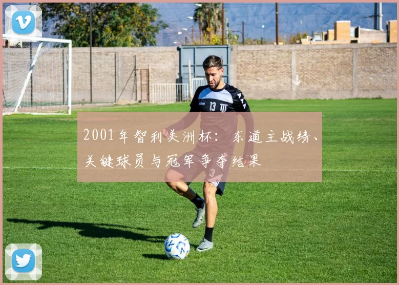 2001年智利美洲杯：东道主战绩、关键球员与冠军争夺结果