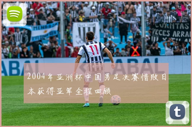 2004年亚洲杯中国男足决赛惜败日本获得亚军全程回顾