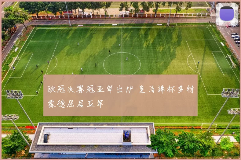 欧冠决赛冠亚军出炉 皇马捧杯多特蒙德屈居亚军