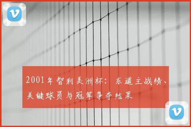 2001年智利美洲杯：东道主战绩、关键球员与冠军争夺结果