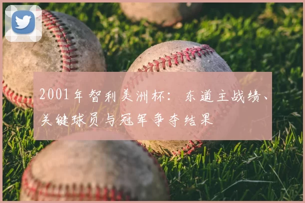 2001年智利美洲杯：东道主战绩、关键球员与冠军争夺结果