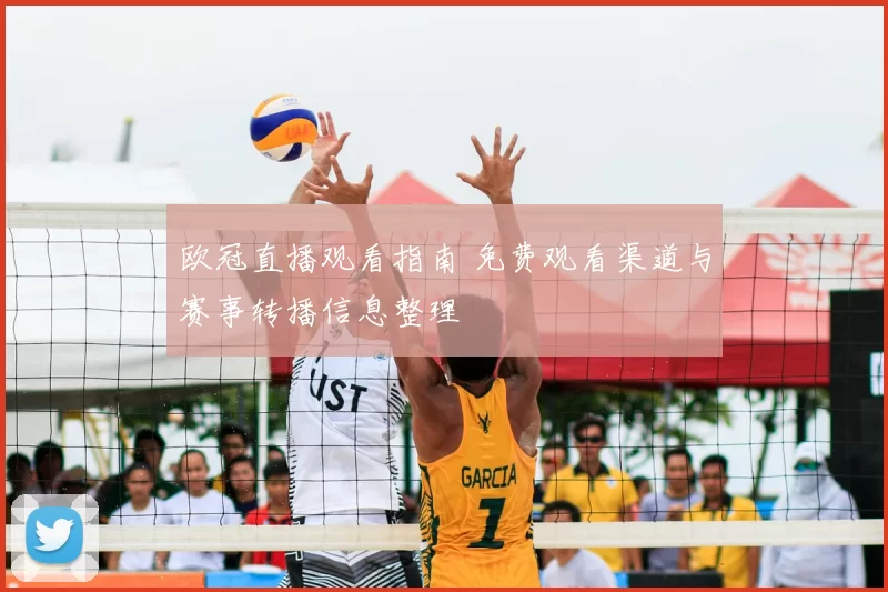 欧冠直播观看指南 免费观看渠道与赛事转播信息整理