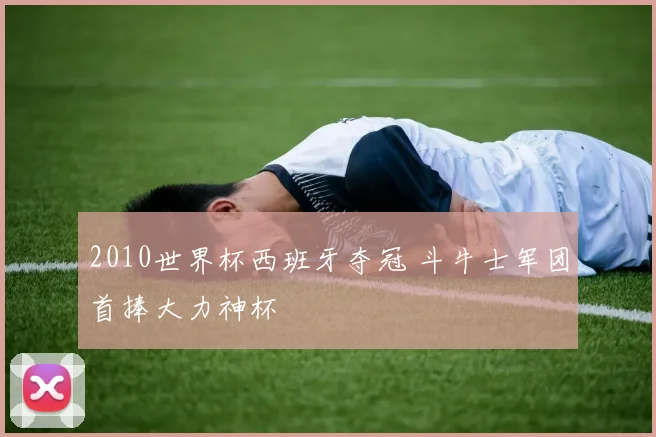 2010世界杯西班牙夺冠 斗牛士军团首捧大力神杯
