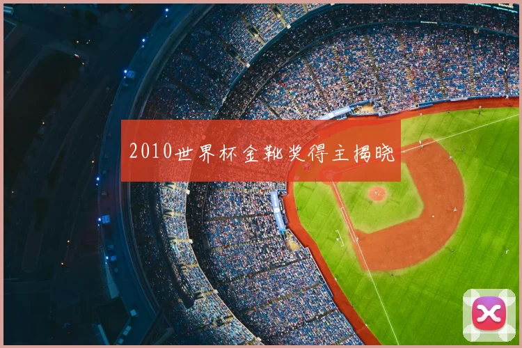 2010世界杯金靴奖得主揭晓